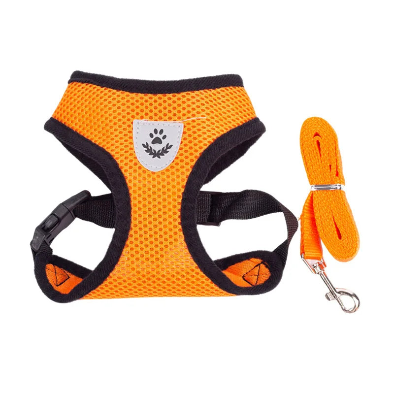 AirPaw™ – Breathable Mesh Harness & Leash Set