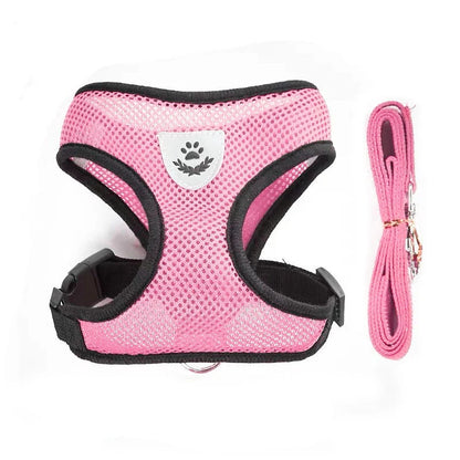 AirPaw™ – Breathable Mesh Harness & Leash Set