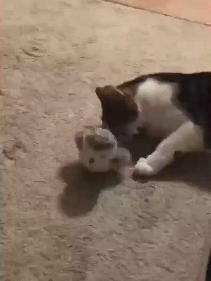 Interactive Flapping Bird Toy for Cats – Realistic Flying Sparrow with Catnip