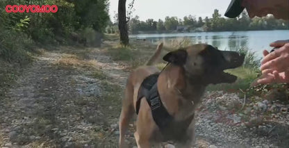 Tactical Dog Harness & Leash Set – Military Training Vest for All Breeds