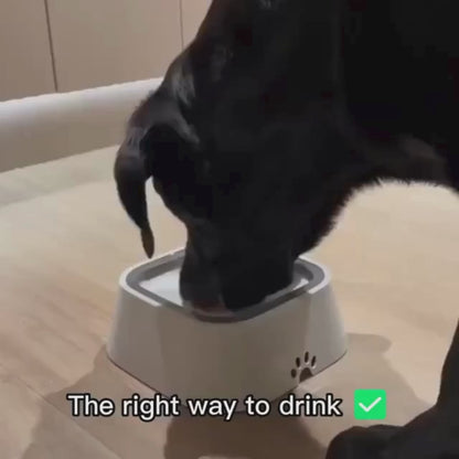 No-Spill Dog Water Bowl – Slow Feeder Dish for Pets