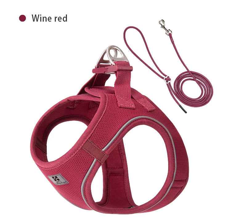 SafePaw™ – Reflective Harness & Leash Set